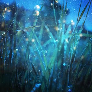 韩国BJ19bj自慰网址
