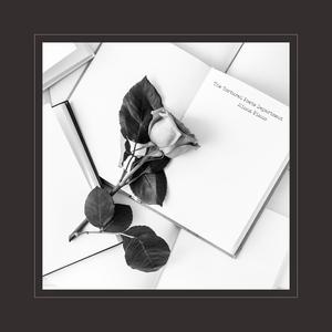 韩国BJ19bj自慰网址
